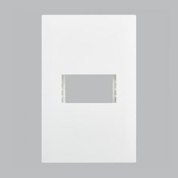 Brightstar ECP101 WHITE Single Module Cover Plate - 4 X 2 White