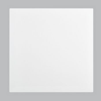 Brightstar ECP106 WHITE Blank Module Cover Plate - 4 X 4 White