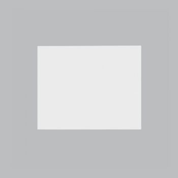 Brightstar ECP125 WHITE Large Blank (1.5 Module) White