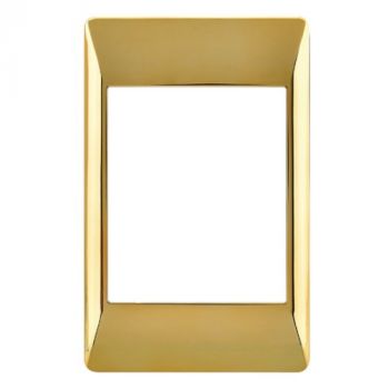 Brightstar ECP611 POL GOLD Polished Gold Cover (COMPONENT) - 2 x 4 Polished Gold