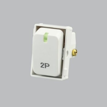 Brightstar ECP624 WHITE Double Pole Isolator Switch (COMPONENT) White