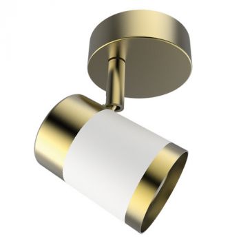 Brightstar S172/1 BRASS/WH Matt White and Satin Brass Spotlight
