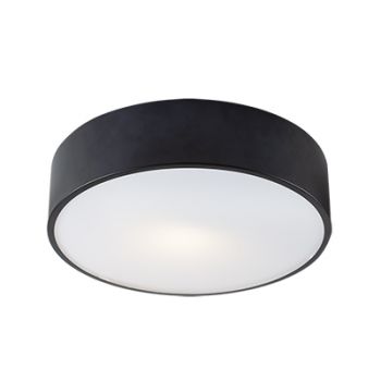 Eurolux WYN-C697 Acrylic and Metal Black Ceiling Light E27