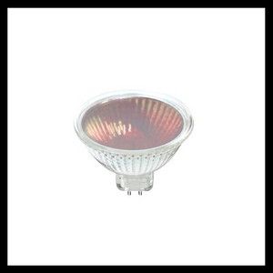 K Light D-1D01269R 12v 50W G5.3 MR16 Halogen Dichroic bulb