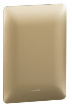 Legrand Ysalis 701190 Blanking Cover Plate 2X4 Champagne