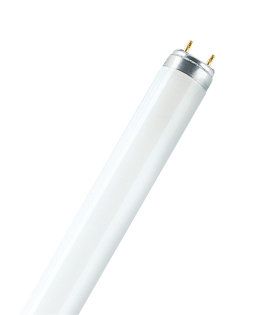 Osram/LEDVANCE Fluorescent Lamp Lumilux T8 L 58W/840 G13 Cool White