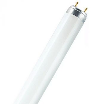 Osram/LEDVANCE Fluorescent Lamp T8 Basic 58W/640 Cool White