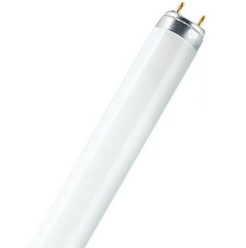 Osram/LEDVANCE Fluorescent T8 Basic L 36W/765 Daylight