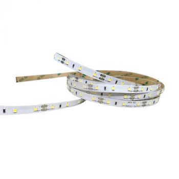 Pioled S010 4.8W 12V IP20 Strip Light 4000K - 1M 60 LED's per meter