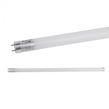 Pioled T104 5FT 24W T8 Combat Glass Tube 4000K