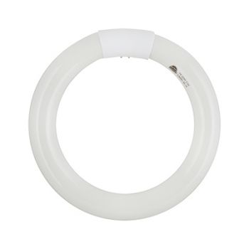 Radiant RLF32 Fluorescent circuline T9 - 22w G10Q Cool White