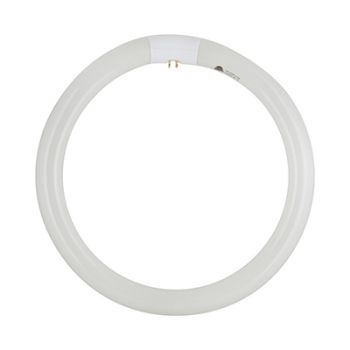 Radiant RLF33 Fluorescent circuline T9 - 32w G10Q Cool White