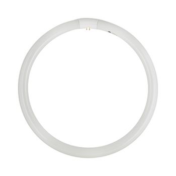 Radiant RLF34 Fluorescent circuline T9 - 40w G10Q Cool White