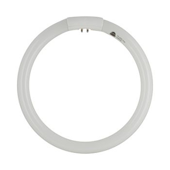 Radiant RLF35 Fluorescent circuline T5 - 22w G10Q Cool White