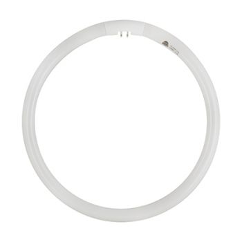 Radiant RLF36 Fluorescent circuline T5 - 32w G10Q Cool White