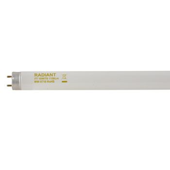 Radiant RLF51 Fluorescent tube T8 - 18w 0.6m G13 Warm White