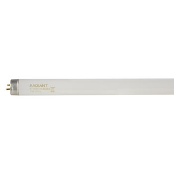 Radiant RLF53 Fluorescent tube T8 - 30w 0.9m G13 Cool White