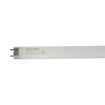 Radiant RLF56 Fluorescent tube T8 - 36w 1.2m G13 Warm White