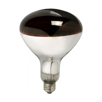 Radiant RLS10 Infra red R125 230v - 250w E27 ruby Special Application