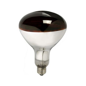 Radiant RLS11 Infra red Par38 230v - 175w E27 ruby Special Application