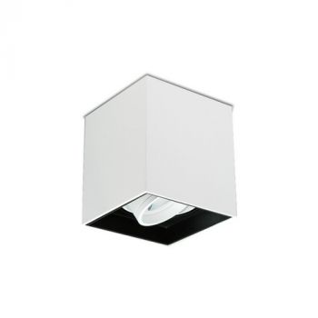 Spazio Downlight WYN-246606.31 Lone Adjustable Square Surface Fitting With Aluminium Body And Twist Off Retaining Ring
