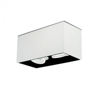Spazio WYN-246607.31 Lone Adjustable Rect 2L Surface Downlight With Aluminium Body And Twist Off Retaining Ring