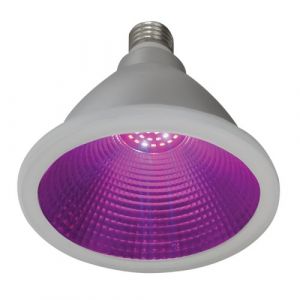 Brightstar BULB LED 207 LED PAR38 Grow Bulb Red and Blue Wavelength IP 65 Not Dimmable