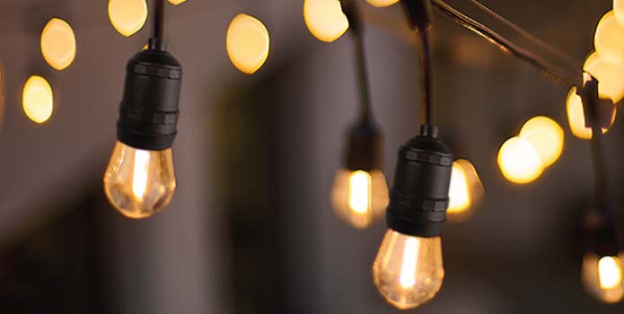 Antique Filament Bulbs